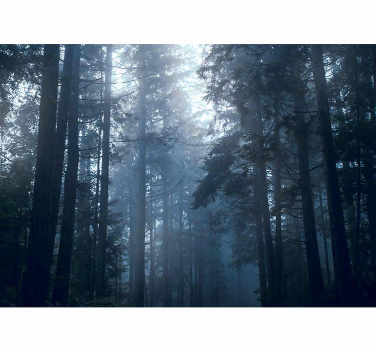 Store enrouleur chambre forêt brumeuse arbres - TenStickers