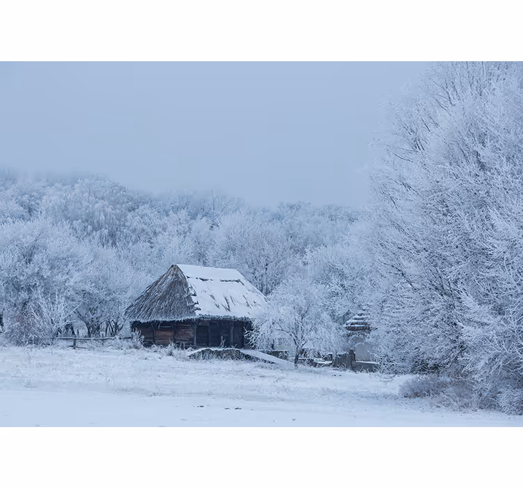 Store enrouleur blanc cour de neige à la maison - TenStickers