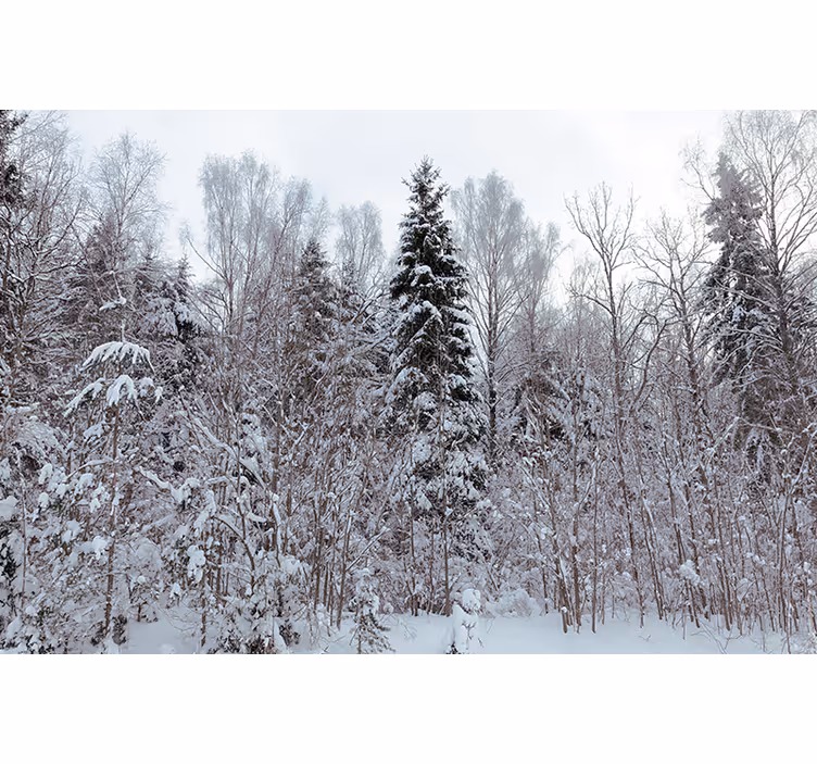 Store enrouleur blanc forêt blanche en hiver - TenStickers