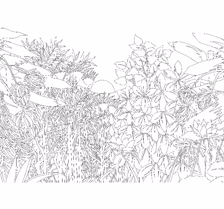 Store enrouleur blanc dessin jungle tropicale - TenStickers