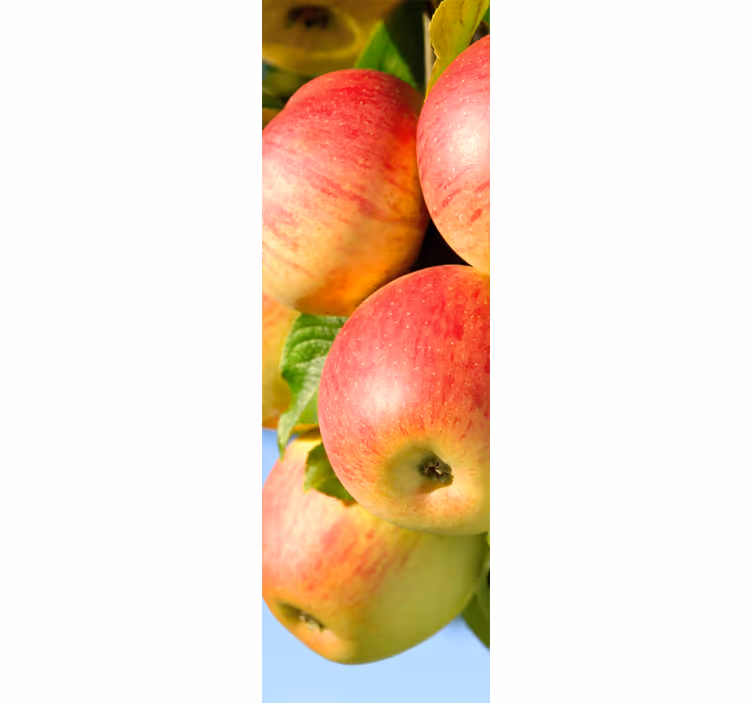 Store enrouleur cuisine pommes sur arbre - TenStickers