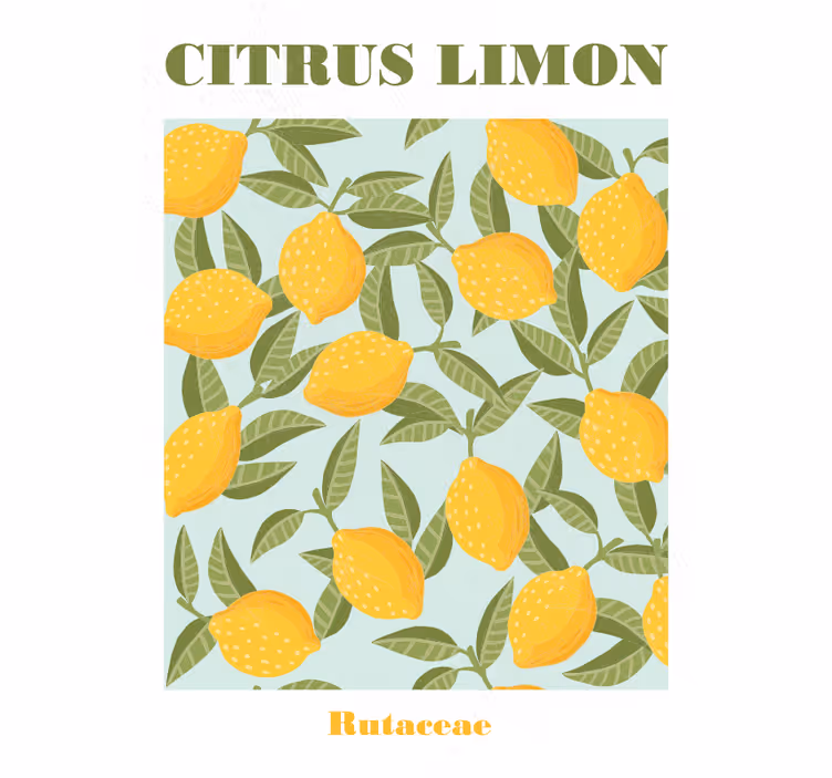 Store enrouleur cuisine citron fruit - TenStickers