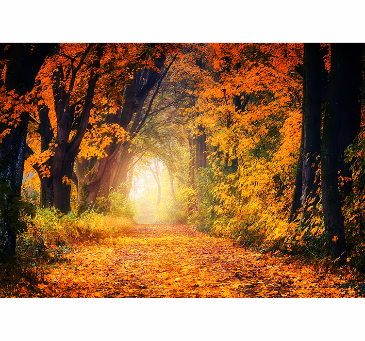 Store enrouleur chambre forêt colorée d'automne - TenStickers