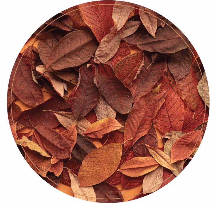 Store enrouleur chambre sol sombre automnal - TenStickers