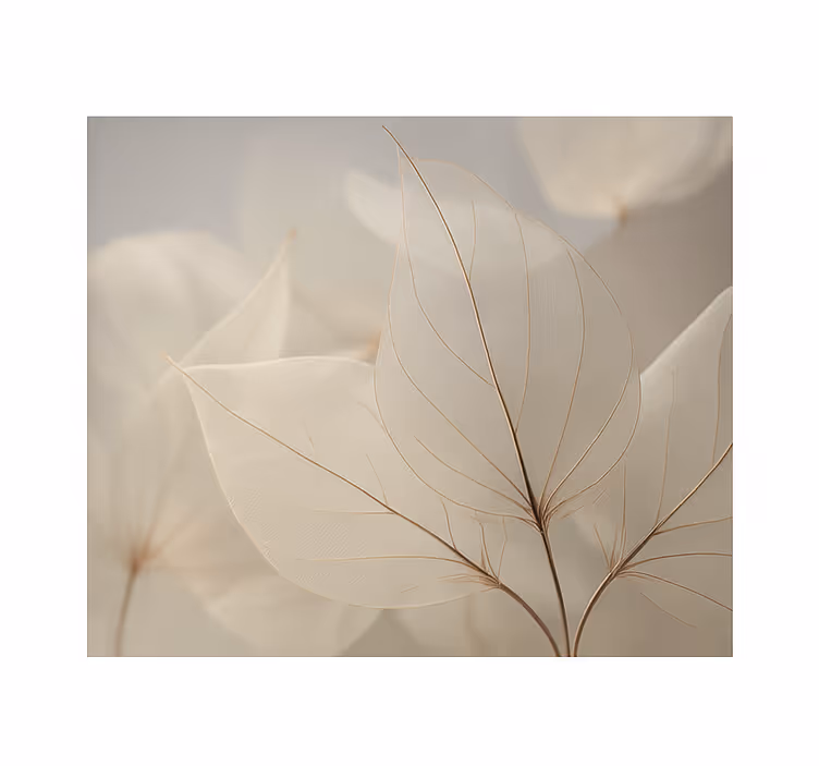 Store enrouleur salon feuilles squelettiques blanches - TenStickers