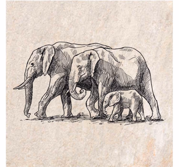 Store enrouleur animaux esquisse d'éléphants - TenStickers