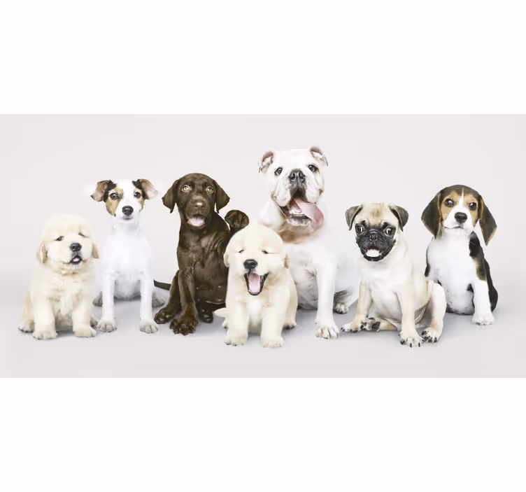 Store enrouleur animaux photographie chiots - TenStickers