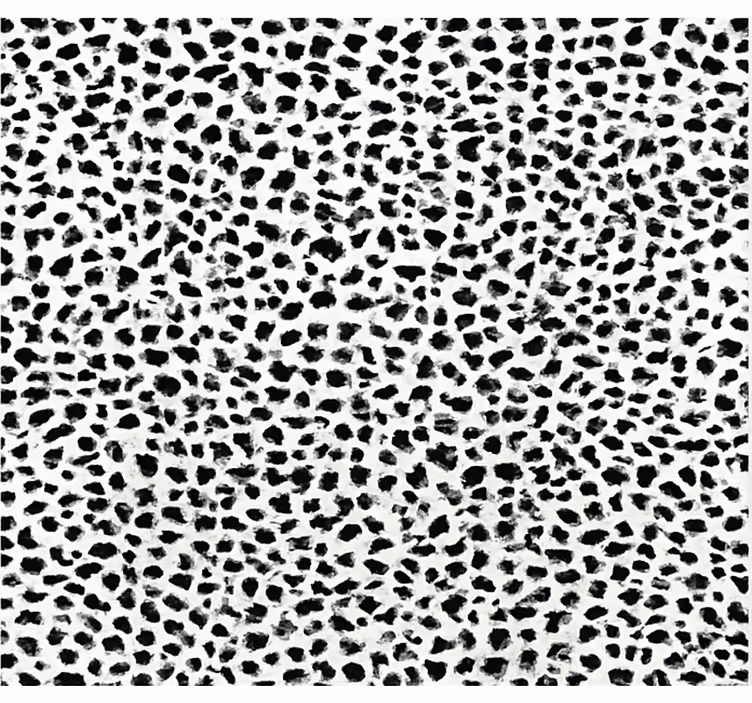 Store enrouleur noir motif léopard monochrome - TenStickers