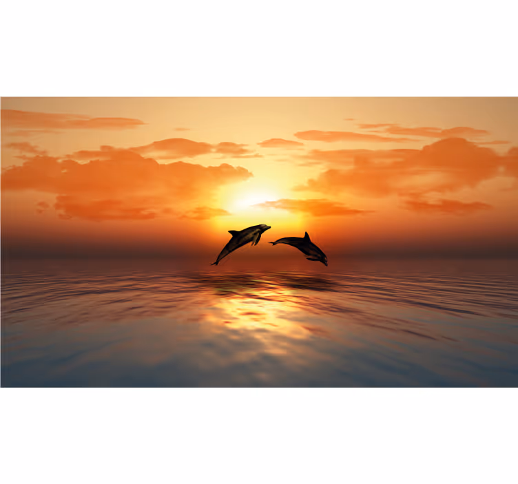 Store enrouleur salle de bain 3d dauphins nageant - TenStickers