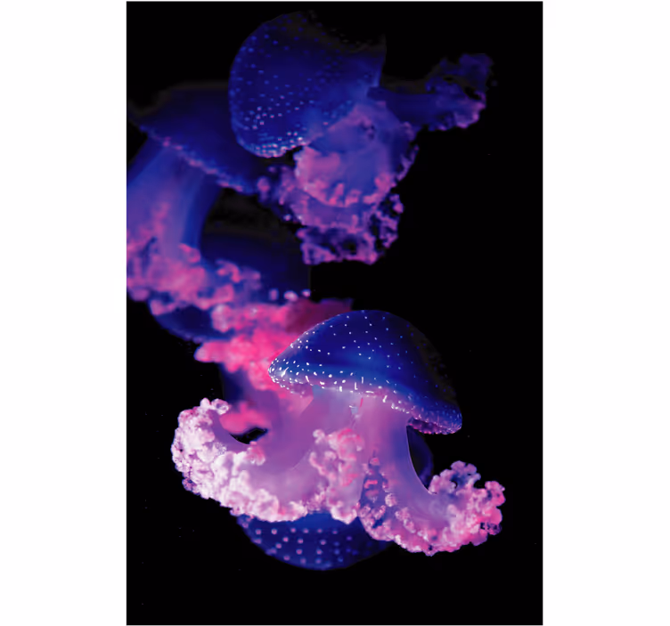 Store enrouleur salle de bain méduse violette - TenStickers