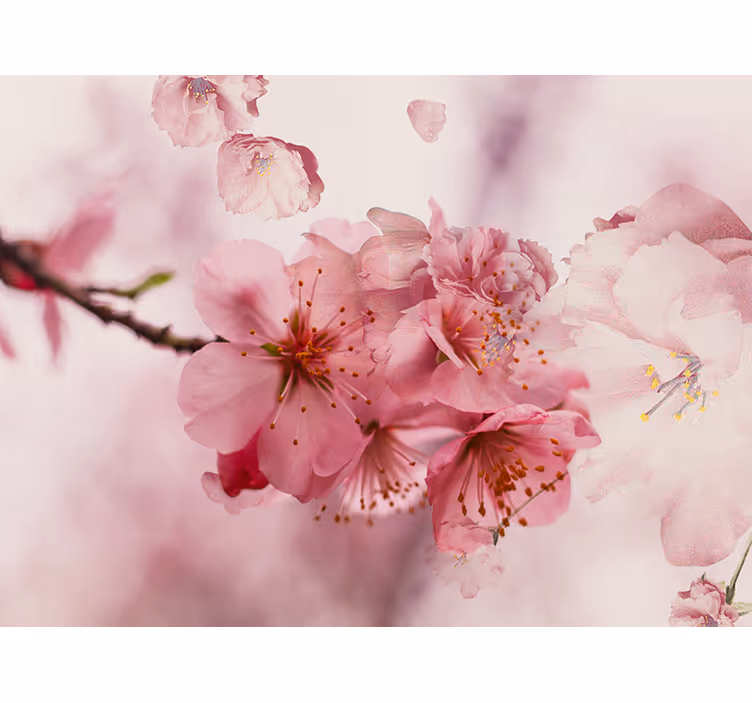 Store enrouleur salle de bain fleurs de bain - TenStickers