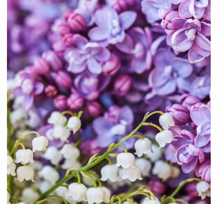 Store enrouleur bureaux fleurs marguerites quatre saisons - TenStickers
