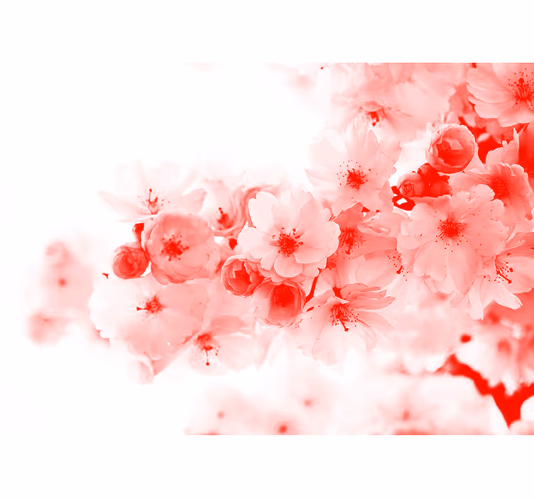 Store enrouleur motif zen papier peint - buisson rouge - TenStickers
