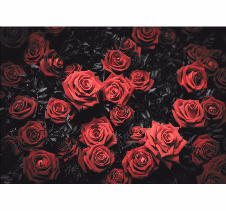 Store enrouleur rouge fleurs rouges sur fond noir et blanc - TenStickers