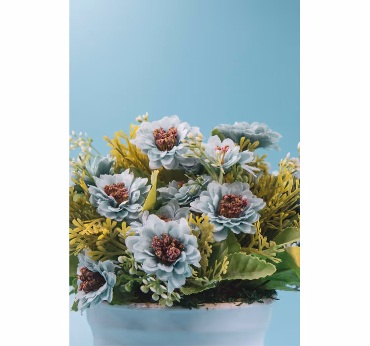 Store enrouleur fleurs et plantes arrangement succulent - TenStickers