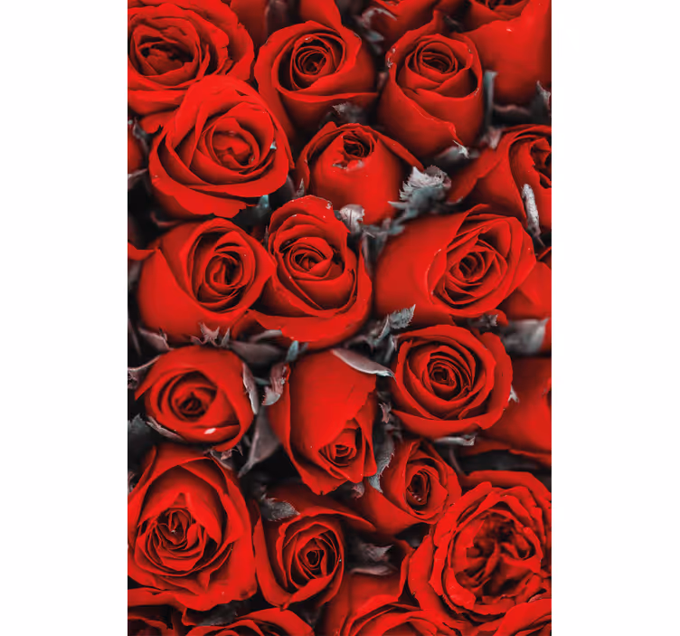 Stores fleurs Roses rouges romantiques - TenStickers
