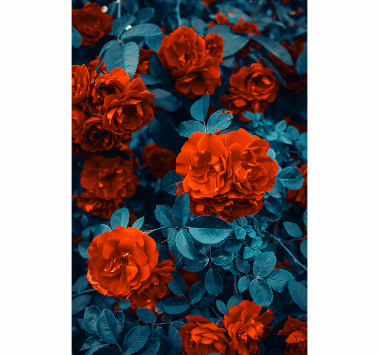 Store enrouleur fleurs et plantes roses à floraison vibrante - TenStickers