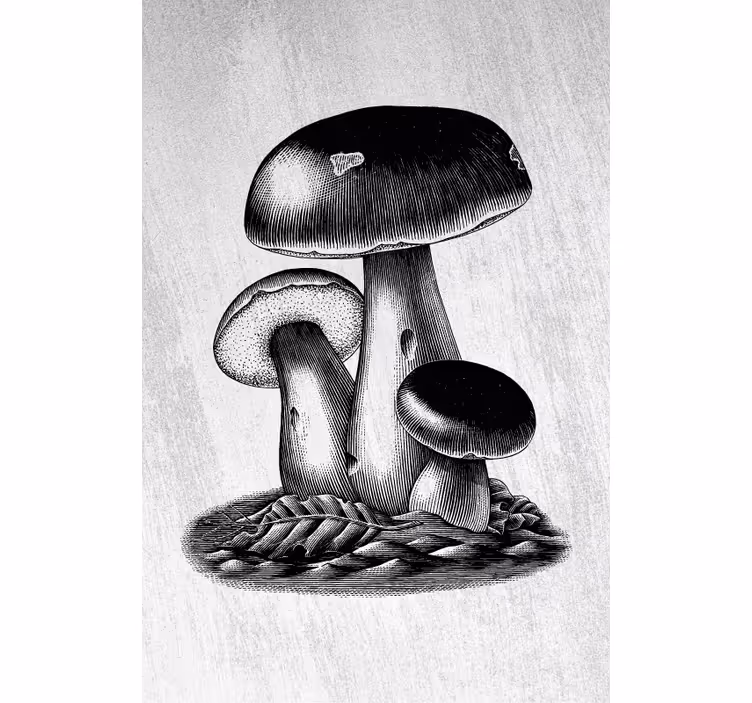 Store enrouleur fleurs et plantes l'élégance des champignons - TenStickers