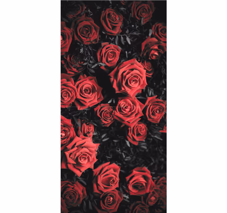 Store enrouleur fleur belles roses rouges - TenStickers