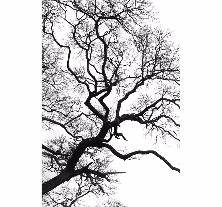 Store enrouleur salon arbre d'hiver sombre vu par la fenêtre - TenStickers