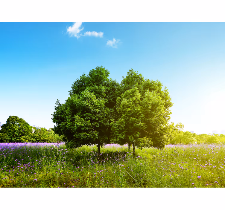 Store enrouleur arbre scène de verdure luxuriante - TenStickers