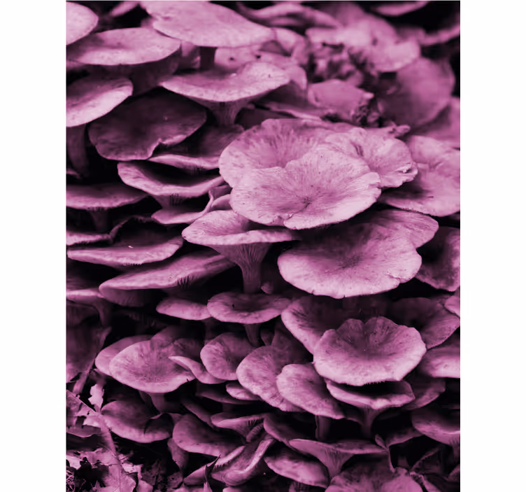 Store enrouleur fleurs et plantes couches florales vibrantes - TenStickers
