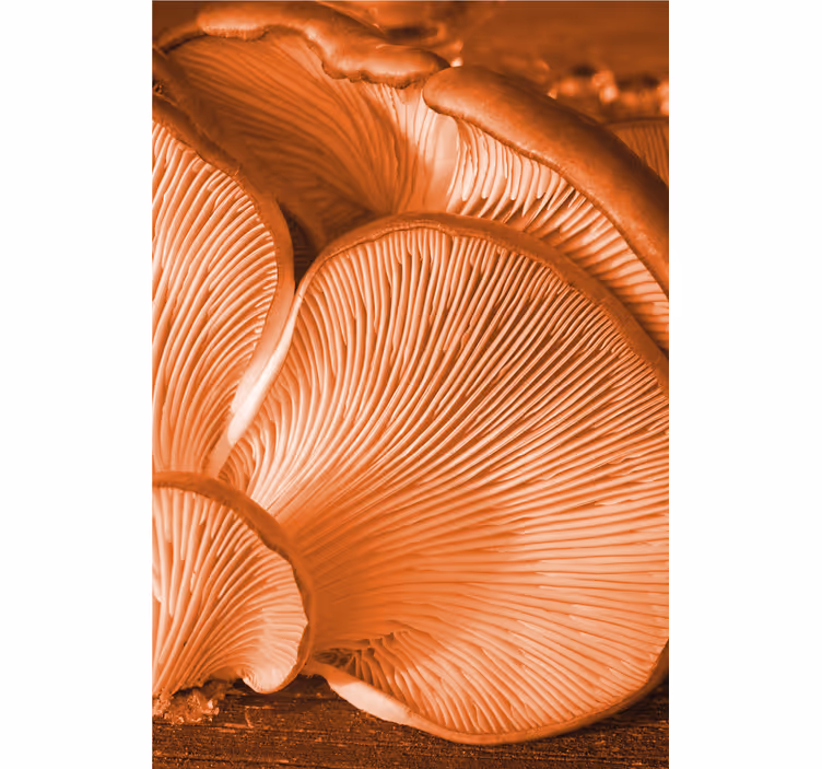 Store enrouleur fruits et légumes lamelles de champignon - TenStickers