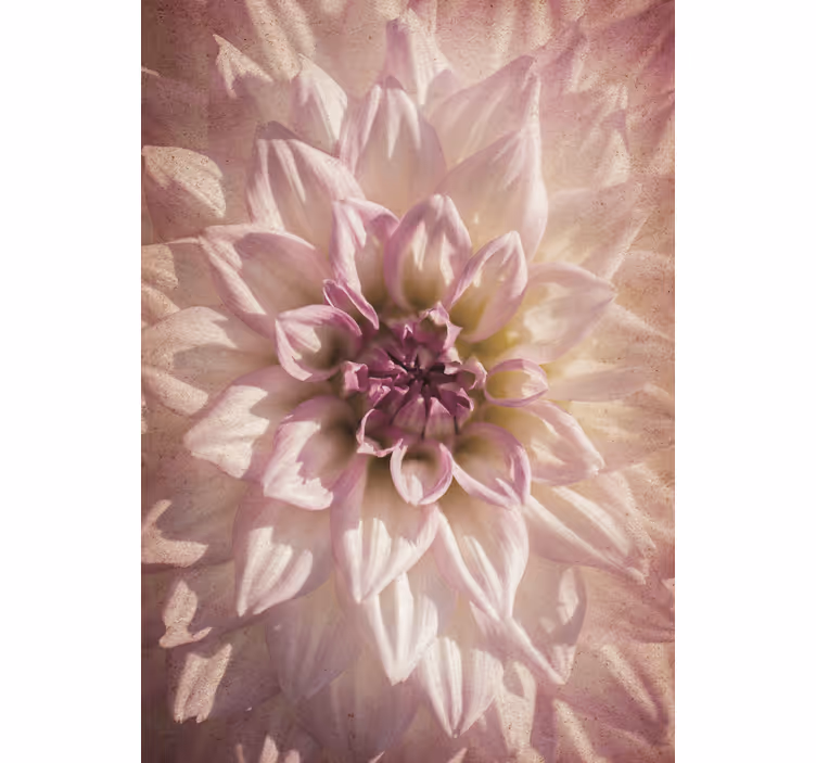 Store enrouleur fleurs et plantes floraison délicate - TenStickers