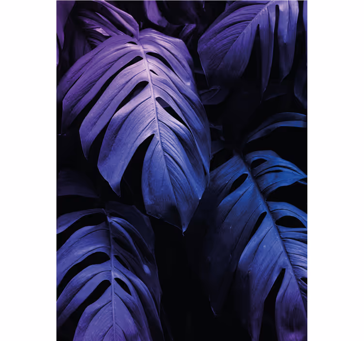 Store enrouleur fleurs et plantes monstera deliciosa - TenStickers