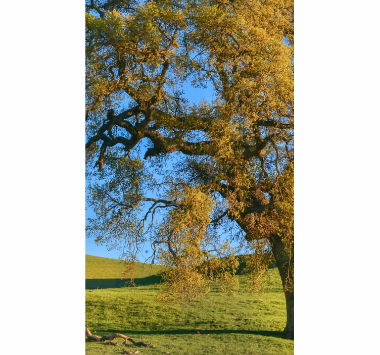 Store enrouleur motif arbre naturel en 3D - TenStickers