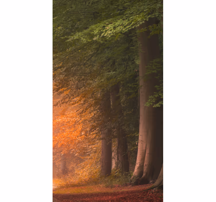 Store enrouleur forêt fantastique profonde - TenStickers