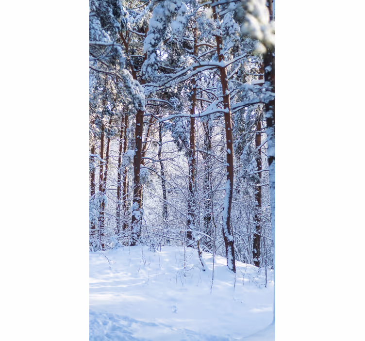 Store enrouleur arbre forêt de pins enneigée - TenStickers