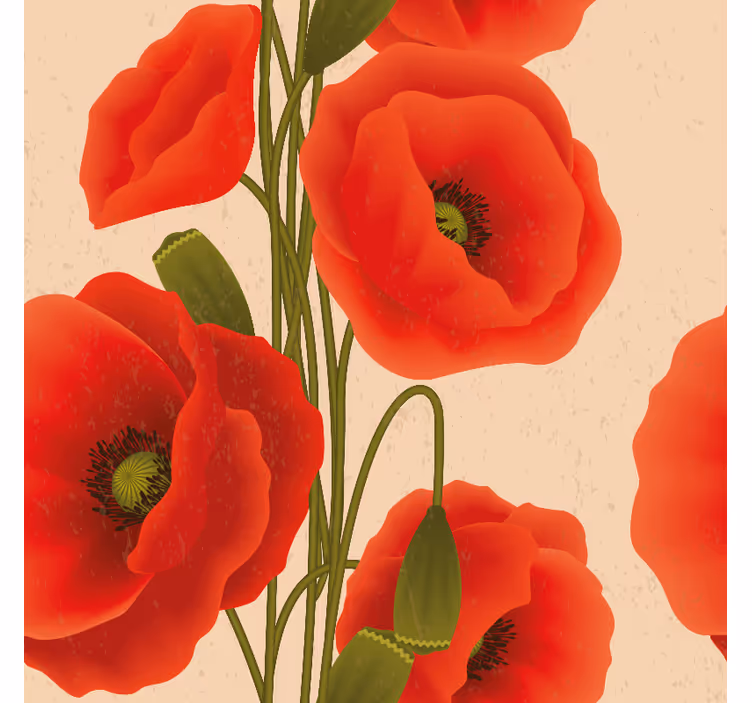 Store fleurs et plantes motif coquelicots rouges - TenStickers