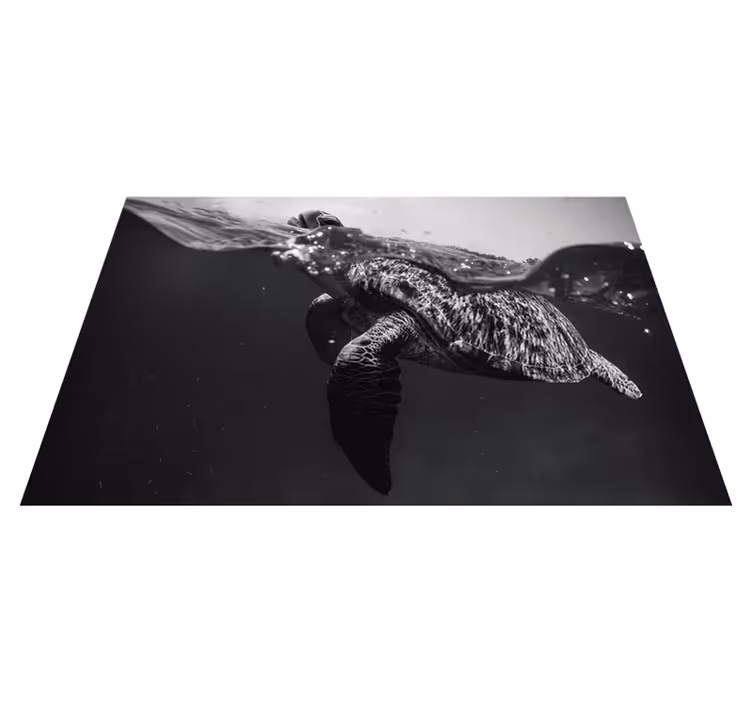 Set de table scène sous-marine avec tortue - TenStickers