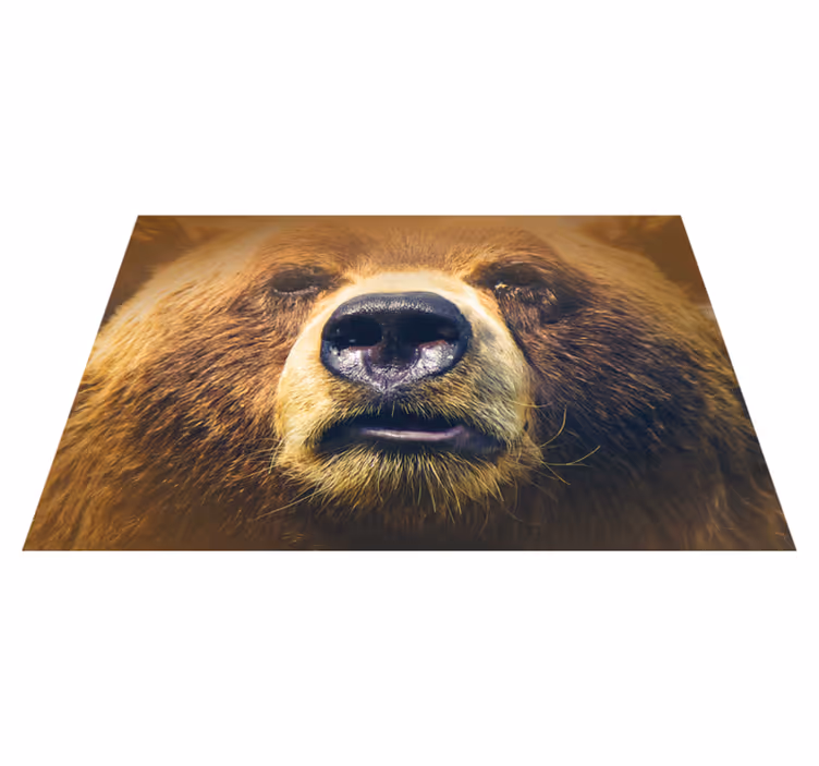 Set de table original tête d'ours en gros plan - TenStickers
