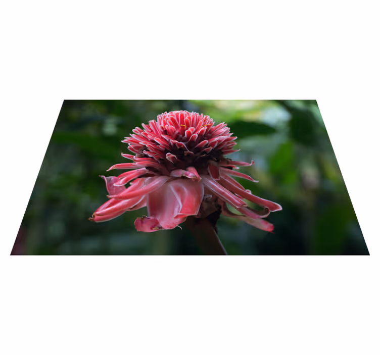 Set de table original arrangement floral tropical - TenStickers