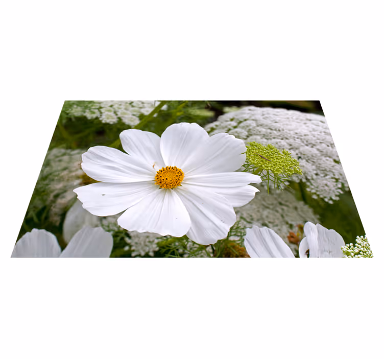 Set de table original fleurs blanches Élégantes - TenStickers