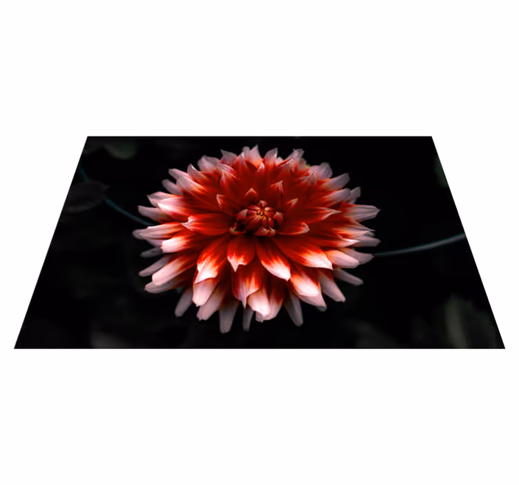 Set de table original plat de algues croustillantes - TenStickers