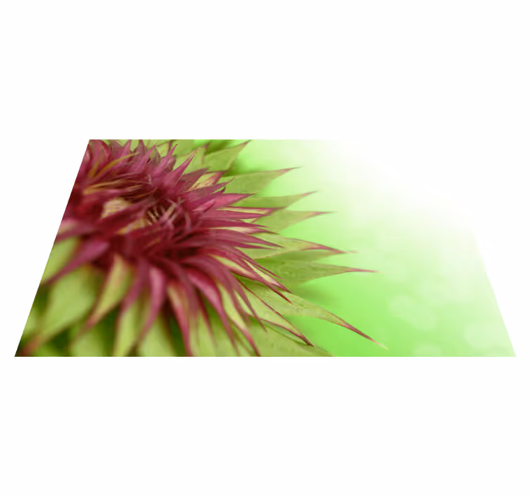 Set de table floral motif chardon - TenStickers