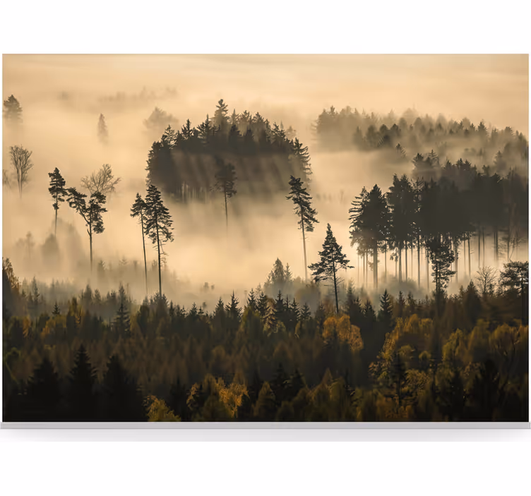 Papier peint forêt brume éthérée du matin - TenStickers