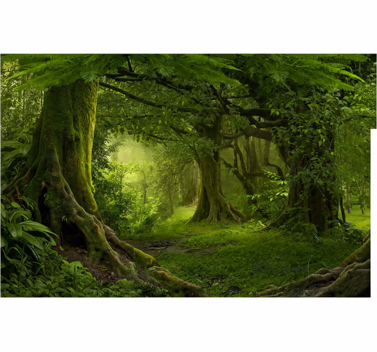 Papier peint forêt Évasion en pleine nature - TenStickers