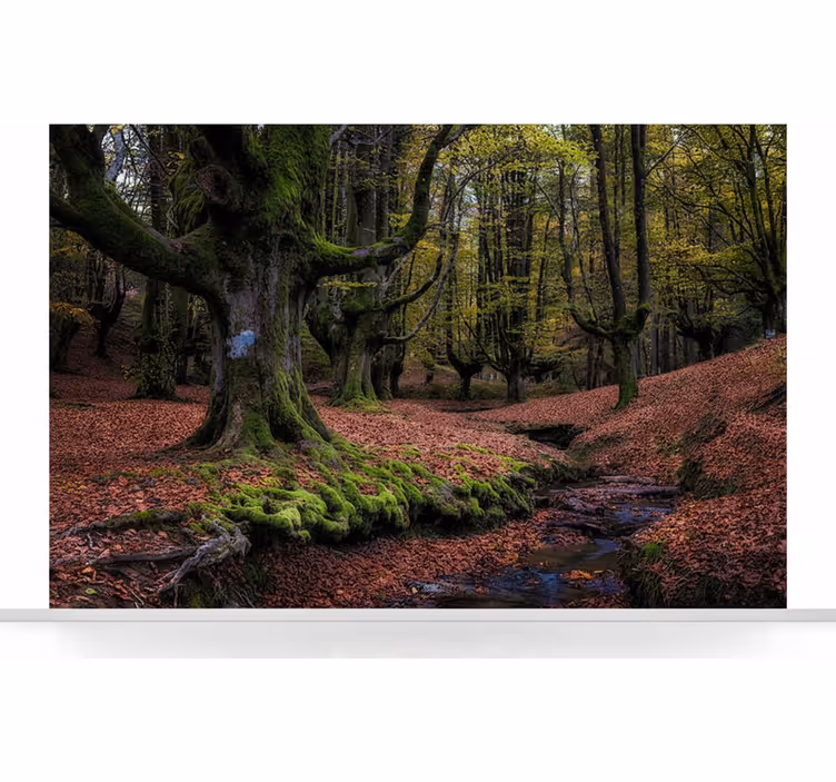 Papier peint forêt forêt enchantée d'automne - TenStickers