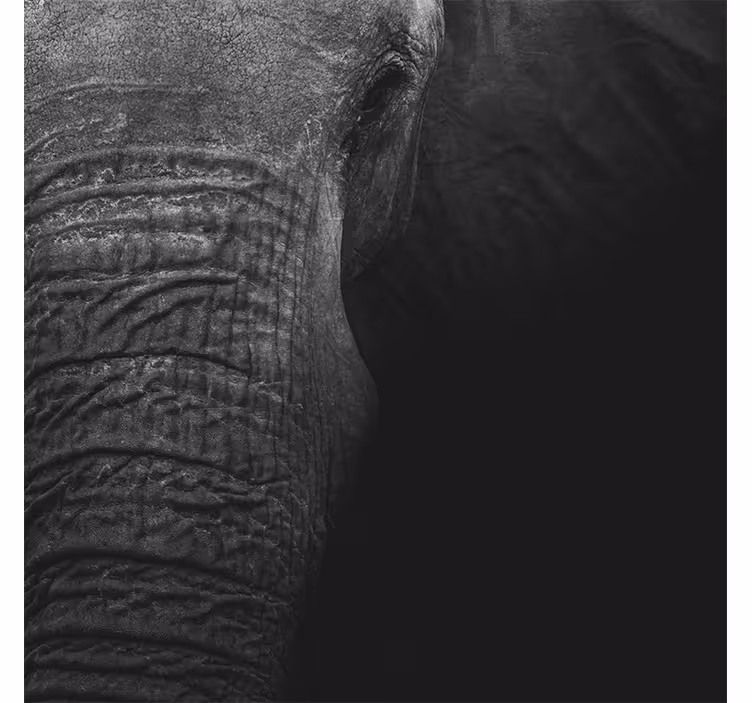 Tapisserie africaine éléphant noir élégant - TenStickers