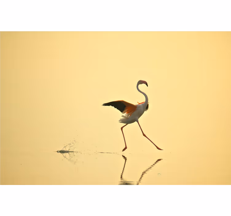 Tapisserie jaune flamants roses drôles en course - TenStickers
