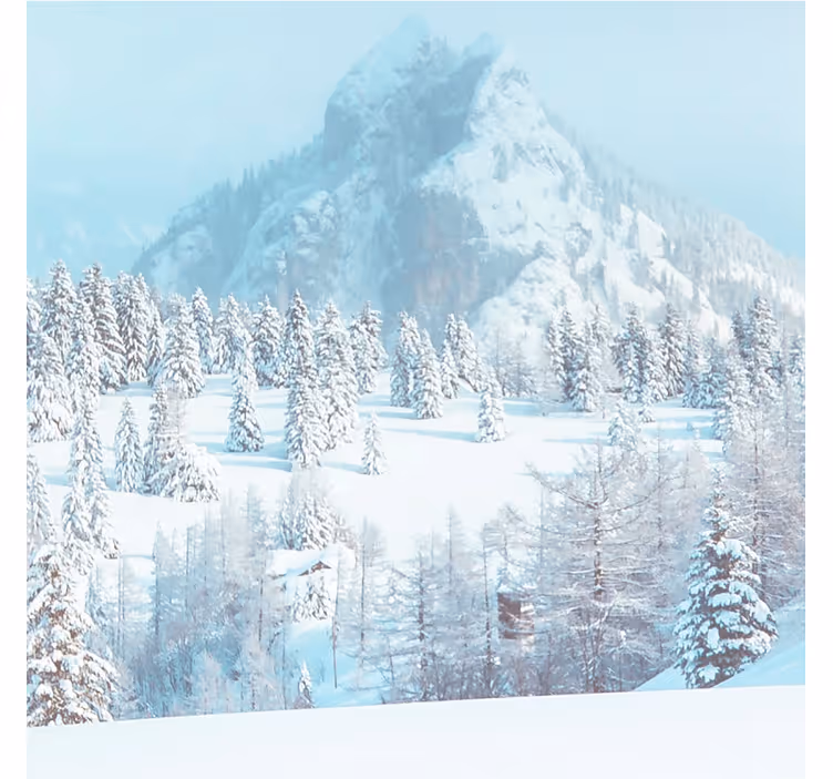 Tapisserie bleu photographie esthétique hiver - TenStickers