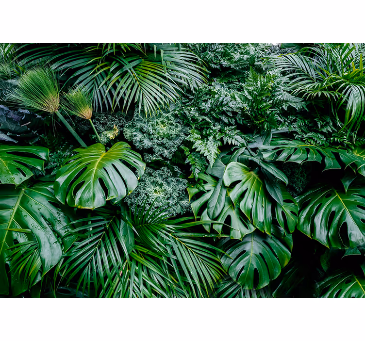 Tapisserie vert jungle ensoleillée - TenStickers