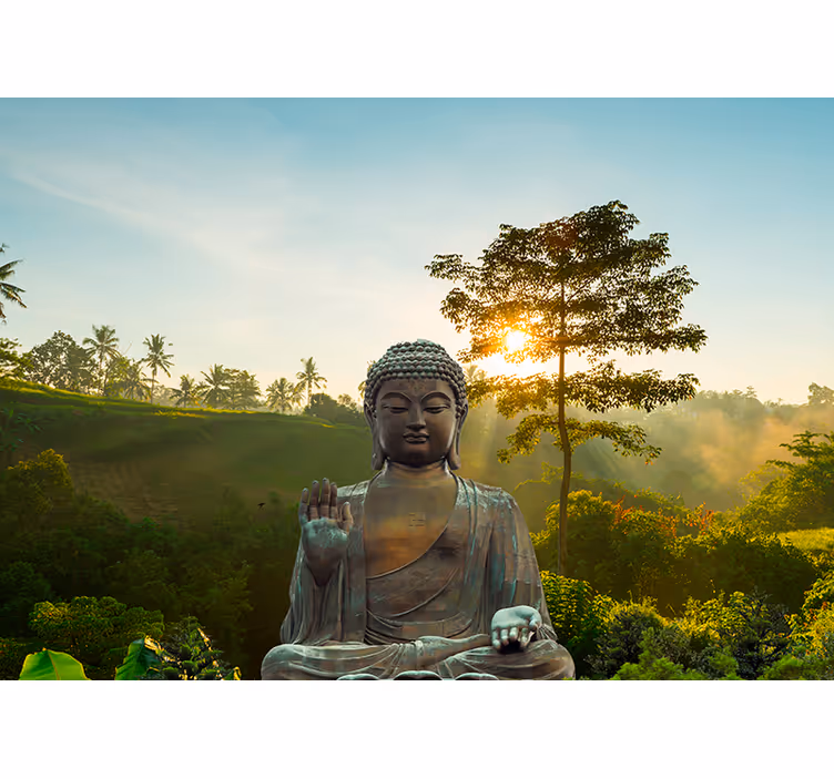 Papier peint bouddha méditant dans la nature bouddha - TenStickers