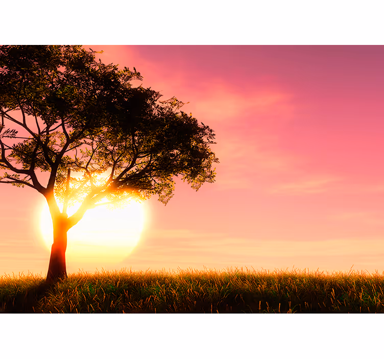 Tapisserie paysage coucher de soleil savane et plantes - TenStickers