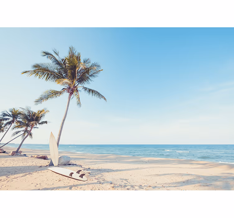 s photo plage tropicale avec palmier mer - TenStickers