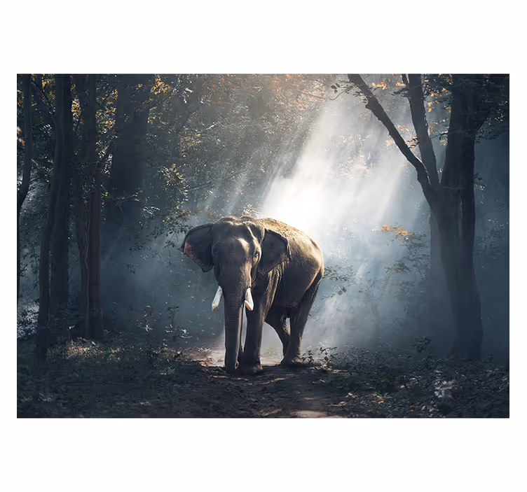 Tapisserie animaux Éléphant de la forêt majestueuse - TenStickers